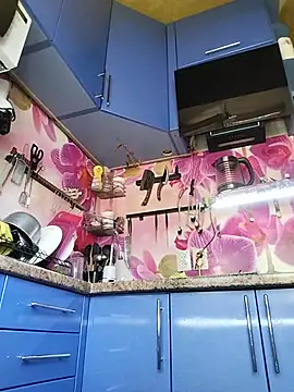Show Webcam de MS-66