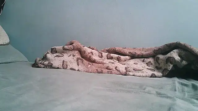 Show webcam de Horny208