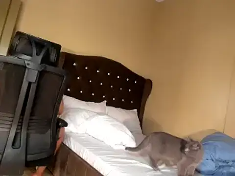 bellaswildcummer XXX чат на живо