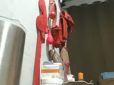 Sembang XXX Secara Langsung 30cmHORSECOCKSELFSUCKER