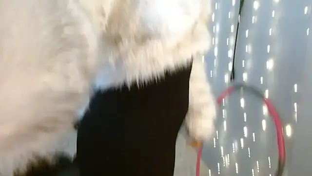 XXX chat uživo modela Chill_Billie