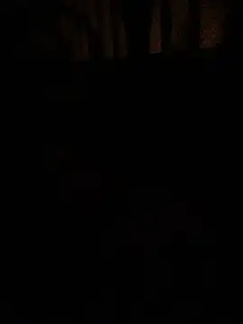 צ'אט XXX בשידור חי של Aurorahii