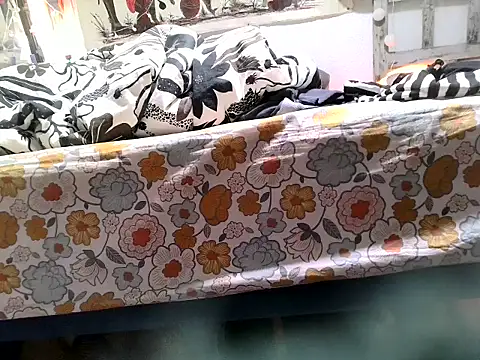 Show webcam de vincentvancock