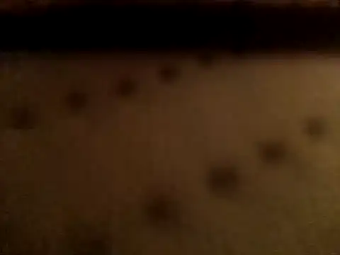 Colmmcx webkamerás műsora