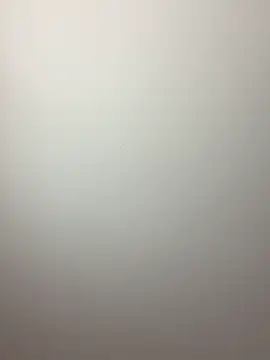 BambiKitty's Webcam Show