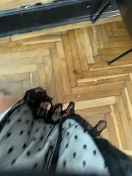 eveangelll's Live XXX Chat