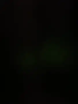Chat XXX Live BellaThread