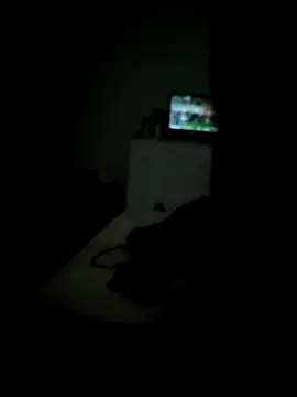 Show de webcam de Leonildo2026