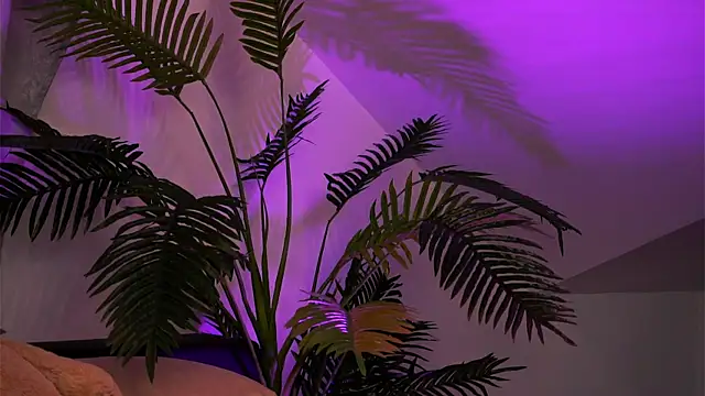 TenderSin: απευθείας συνομιλία ΧΧΧ