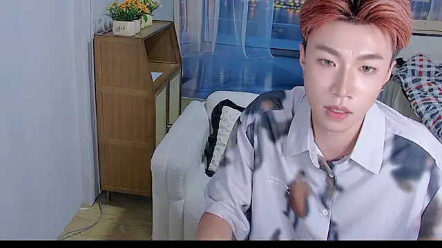 An-X888 Show Webcam