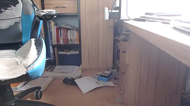 Horwein's Webcam Show