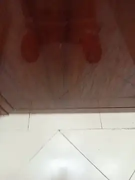 misterpanikaのウェブカメラショー