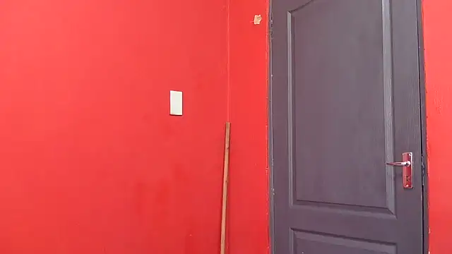 Foxytemptationx 现场XXX聊天