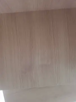 Olliveira__n Webbikameraesitys