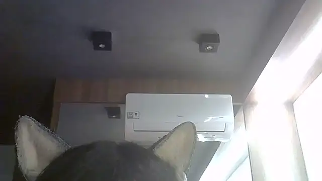 Show de webcam de SkinnyKitten
