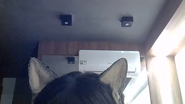 Show de SkinnyKitten na webcam