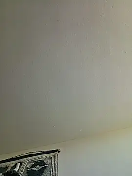Show Webcam de piggylatino