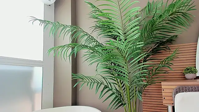 دردشة Iam_Caami_ الجنسية المباشرة