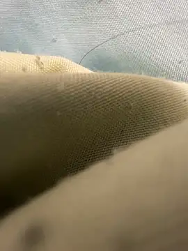 whcs 웹캠 쇼