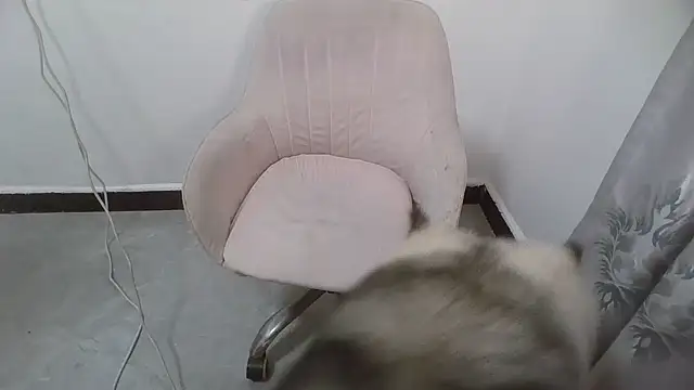 coco-zh's Live XXX Chat