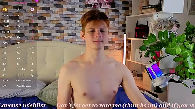 عرض كام Allert_