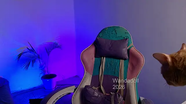Chat +18 de WandaDoll ao vivo