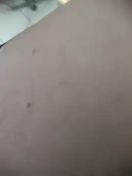 flatil79 webcam show