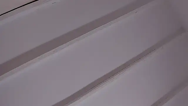 Chat +18 de EvelynBlak1 ao vivo
