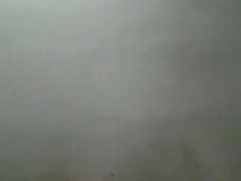 Show de Foxboy65 na webcam