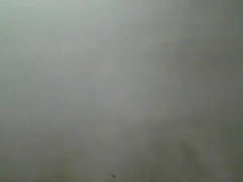 Foxboy65's Live XXX Chat