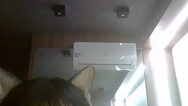 Chat +18 de SkinnyKitten ao vivo