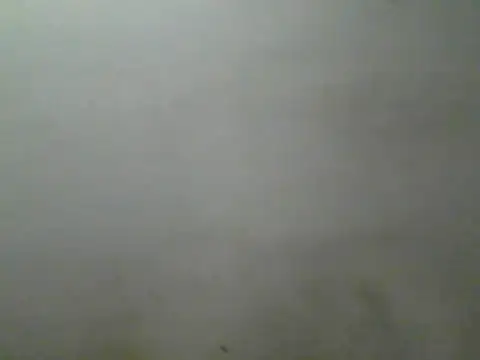 Foxboy65 live XXX chat