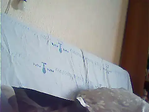 VeneRed Obrolan Langsung XXX