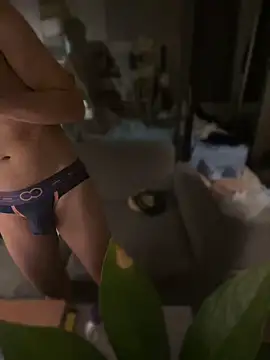 pophiboy Pertunjukan Webcam