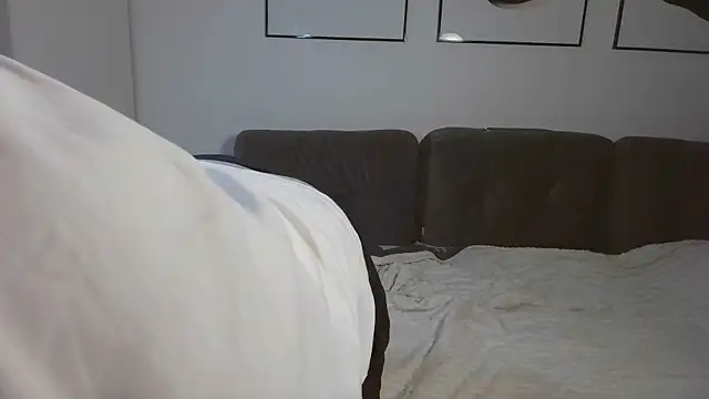 Cheese_Michaeln Webbikameraesitys