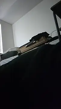ZeldaSneakyLink's Webcam Show