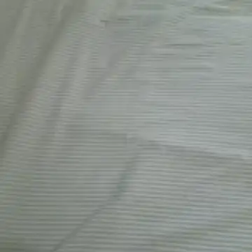 Show de webcam de ratoncito_3