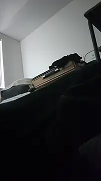 ZeldaSneakyLink  라이브 XXX 채팅