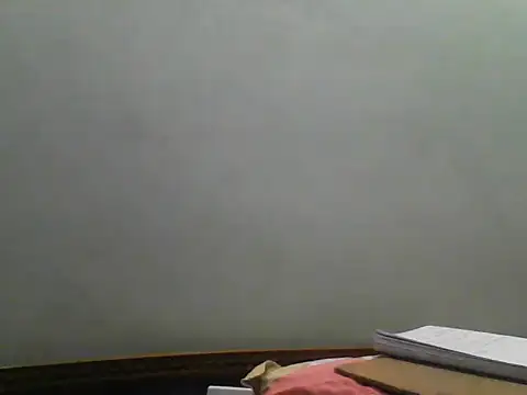 Chat +18 de Foxboy65 ao vivo
