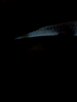 عرض كام Soniya_ji