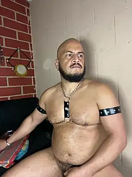 Chat +18 de the_master_foal_ ao vivo