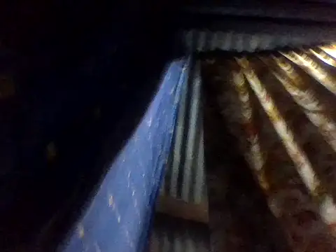 Show webcam de Roystone3