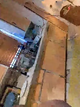 Show Webcam de Cnutt310