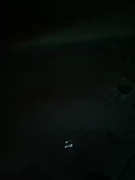 Zbi-3sal Show Webcam