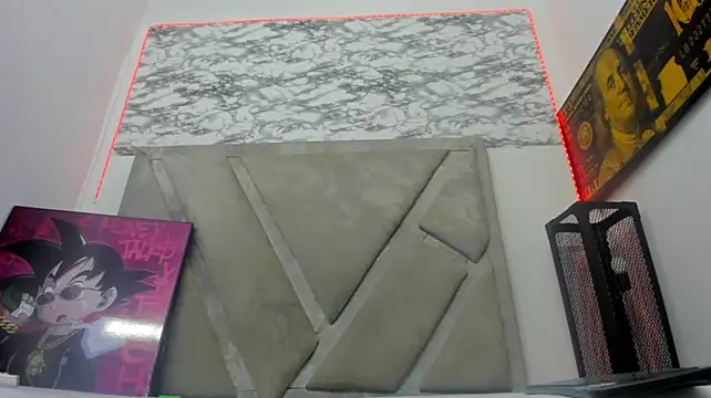 Show webcam de NoelJason