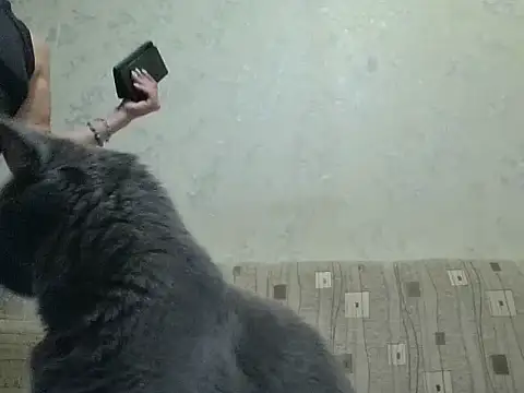 Вебкам-шоу JeaneDavis