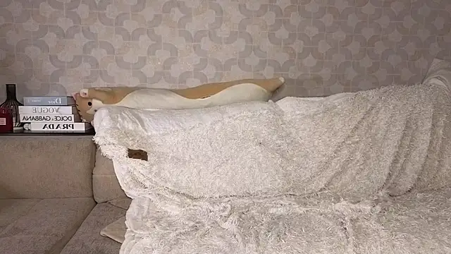 Živý XXX chat InesWiltse