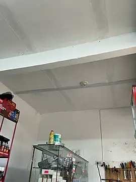 Chat +18 de Paul22cm- ao vivo