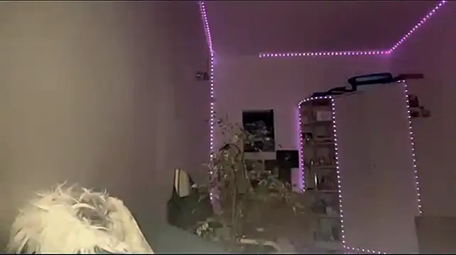 Chat +18 de MiaRoika ao vivo