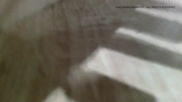 alieninhumanbody1 现场XXX聊天